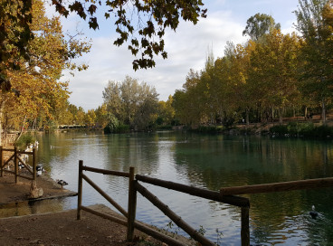 Der See d'Albufera Anna